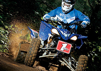 PHOTO (select to view enlarged photo)