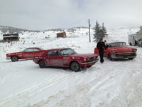 PHOTO (select to view enlarged photo)