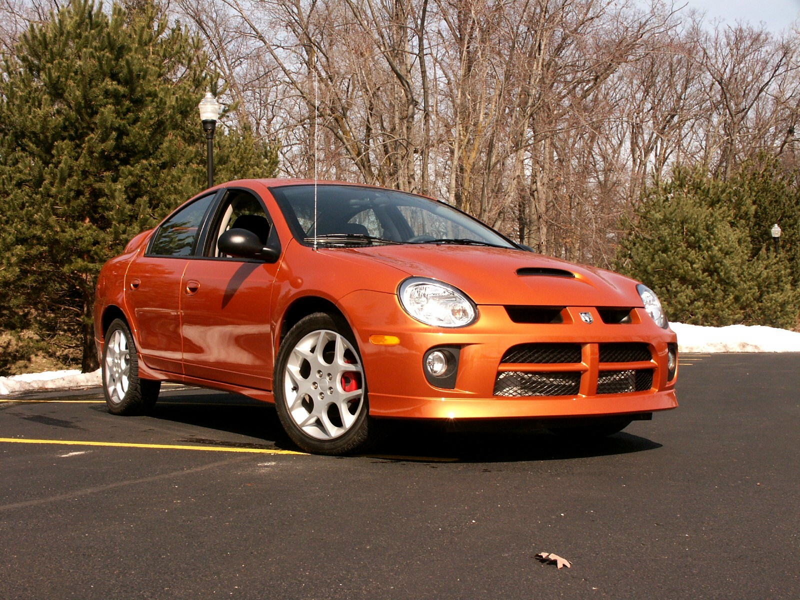 neon srt 4 attitude