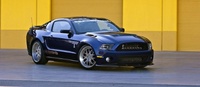 shelby 1000 (select to view enlarged photo)