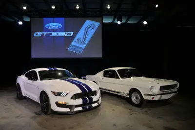 ford shelby gt350 (select to view enlarged photo)