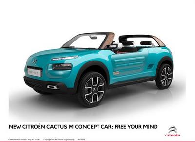 Citron Cactus M Concept Car (select to view enlarged photo)