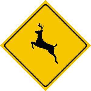 deer hazard