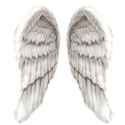 angle wings (select to view enlarged photo)