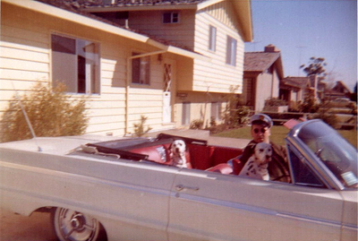 PHOTO (select to view enlarged photo)