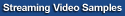 Auto Beat Reporter - Streaming Video Samples