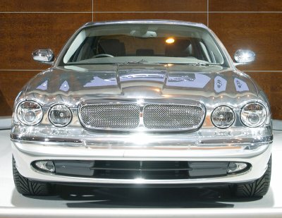 Jaguar in White