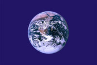 PHOTO (select to view enlarged photo)