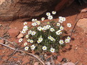 PHOTO (select to view enlarged photo)