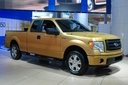 2009 Ford F150 (select to view enlarged photo)