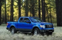 Ford F-150 (select to view enlarged photo)