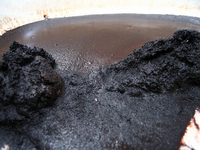 PHOTO (select to view enlarged photo)
