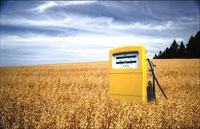biofuel (select to view enlarged photo)