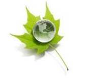 eco fuel