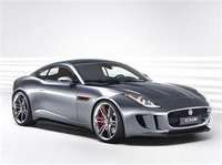 jaguar (select to view enlarged photo)