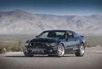 shelby