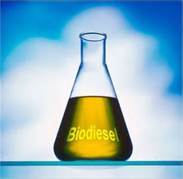 biodiesel