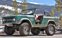 bronco (select to view enlarged photo)