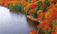 trees in fall (select to view enlarged photo)