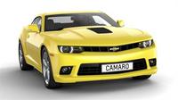camaro (select to view enlarged photo)