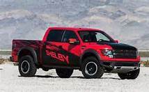 sheby raptor