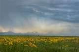 field and sky