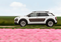 2015 Citroën Cactus  (select to view enlarged photo)