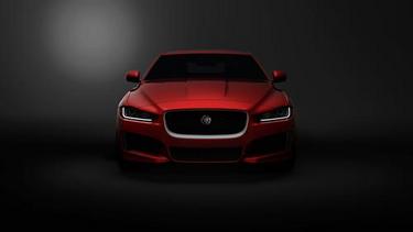 jaguar (select to view enlarged photo)