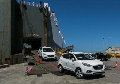 hyundai fuel cell cars (select to view enlarged photo)