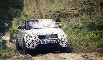 range rover evoque (select to view enlarged photo)