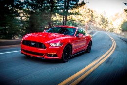mustang