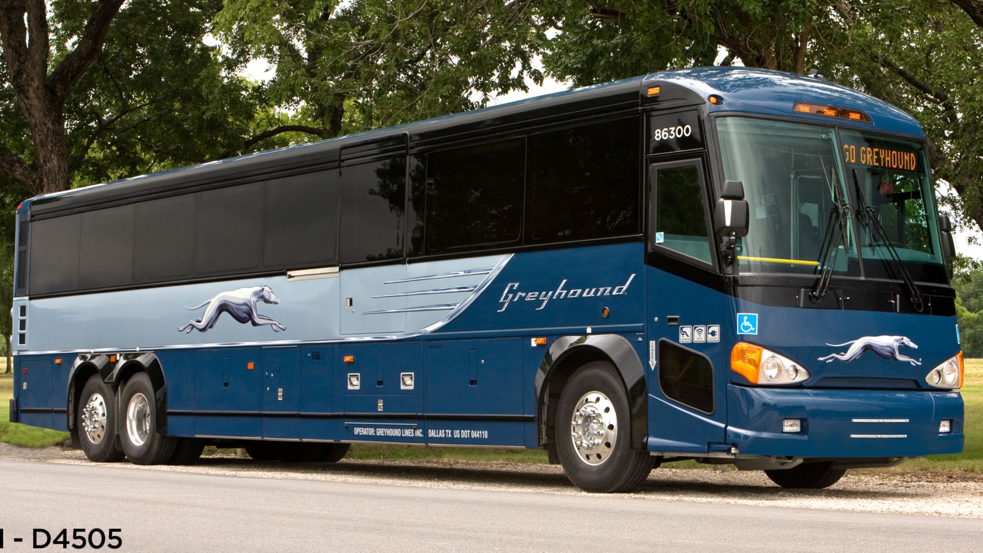 greyhound travel information