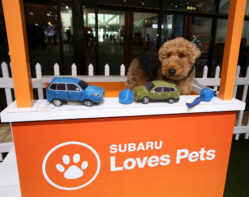 Subaru Establishes FirstEver "National Make A Dog's Day" On October 22