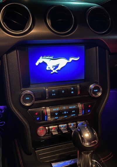 2020 Mustang Convertible (select to view enlarged photo)