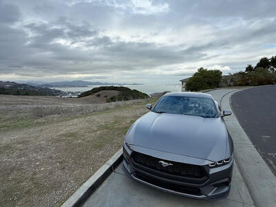 PHOTO (select to view enlarged photo)