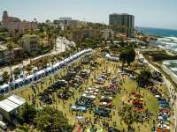 A Concours Unlike Any Other...The La Jolla Concours Is Back April 7-9