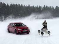 SEAT Challenge on Ice - 6 huskies and 300 horses +VIDEO