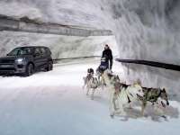 DOG POWER VS HORSEPOWER IN DISCOVERY SPORT SNOW TUNNEL CHALLENGE