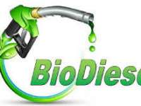 ExxonMobil and Renewable Energy Group Report Progress in Cellulosic Biodiesel Research