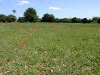 BREAKING NEWS - November 28, 2019: No American Servicemen Die Defending Ethanol...Again BREAKING NEWS - November 28, 2019: No American Servicemen Die Defending Ethanol...Again