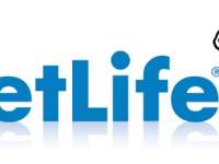 MetLife Provides Relief to Auto Insurance Customers MetLife Provides Relief to Auto Insurance Customers