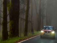 Driving In Autumn: Fallen Leaves, Rain and Fog Challenge Motorists Driving In Autumn: Fallen Leaves, Rain and Fog Challenge Motorists