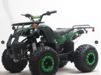 CRT Motor Recalls Youth All-Terrain Vehicles (ATVs) Due to Crash Hazard and Violation of Federal Safety Standard; Sold Exclusively at Motor Planet