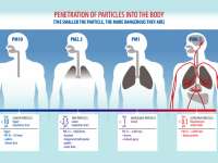 New White Paper Says The Real Cost of Gasoline …is to Our Health! New White Paper Says The Real Cost of Gasoline …is to Our Health!