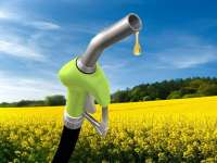 ADM And Marathon Petroleum To Produce Renewable Green Diesel Made From American Soybeans As Green Bison Production Facility Begins Operations ADM And Marathon Petroleum To Produce Renewable Green Diesel Made From American Soybeans As Green Bison Production Facility Begins Operations
