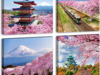 Japan Wi-Fi auto-connect x LIVE JAPAN Combining Wi-Fi Access and Tourist Info for Greater Convenience for International Visitors Japan Wi-Fi auto-connect x LIVE JAPAN Combining Wi-Fi Access and Tourist Info for Greater Convenience for International Visitors