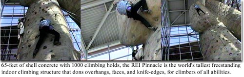 rei climb